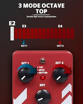 Amazon.com: STRICH Polyphonic Octave Guitar Pedal, Digital 3